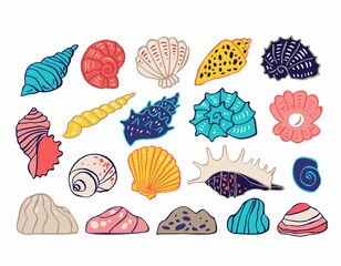 Set of colorful decorative funny seashells isolated on white. Symbols of the seas and oceans for the decoration of children's rooms, parties, holidays in a nautical style. Cartoon vector illustration
