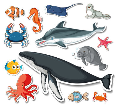 Sticker pack of different sea animals