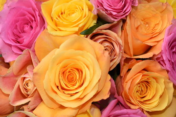Close-up on bouquet of roses in yellow orange and pink colors