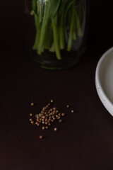 Obraz na płótnie Canvas mustard seeds