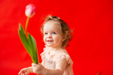girl is fair-haired curly with a flower tulip. Child in a beautiful pink dress on a red background
