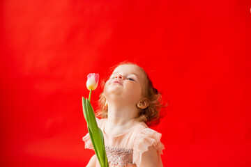 Obraz na płótnie Canvas girl is fair-haired curly with a flower tulip. Child in a beautiful pink dress on a red background