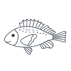 Single fish with beautiful fins doodle style. Sea or river fish black outline on white background. Underwater inhabitant vector illustration