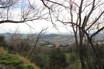 Obraz premium Dettagli naturali