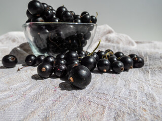 Close-up shot of perfect ripe blackcurrants (ribes nigrum) on the white tablecloth and in the glass bowl in bright sunlight. Healthy snack