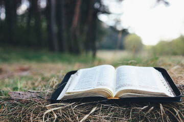 Open bible in a beautiful forest clearing, space for your text