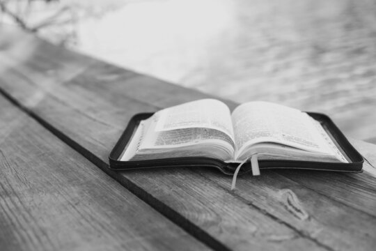 Open Bible in nature, black and white photography