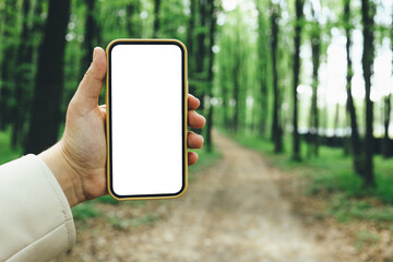 Phone with an isolated screen in a hand on a background of a forest, a place for your text