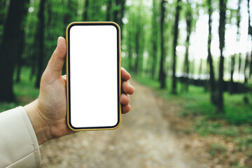 Phone with an isolated screen in a hand on a background of a forest, a place for your text