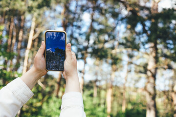 Phone in hand with a photo of the forest