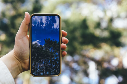 Phone in hand with a photo of the forest