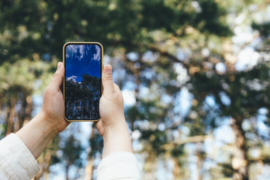 Phone in hand with a photo of the forest