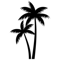 palm trees silhouettes