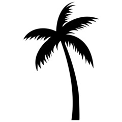 Obraz premium palm trees silhouettes
