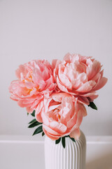 Beautiful bunch of fresh Coral Charm peonies in full bloom in vase against white background, close up. Minimalist floral still life with blooming flowers.