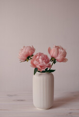 Beautiful bunch of fresh Coral Charm peonies in full bloom in vase against white background. Minimalist floral still life with blooming flowers.