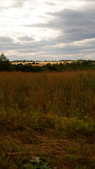 Rural landscape with field at sunset and village in the background. Vologda region