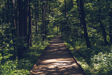 Nature trail boardwalk in the forest. Sunlit ecological path. Outdoor eco trail