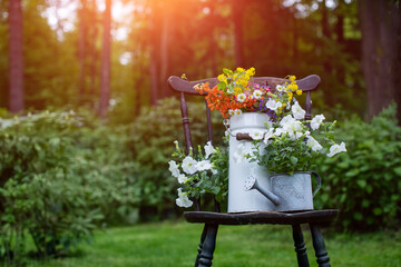bukiet wiosennych, polnych kwiatów w rustykalnym klimaci w kance na mleko na starym krześle w...