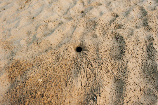 Fluffy crabs hole on white sand beach, Crabs holes on beach sand, Home of a Ghost crab