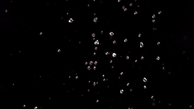 Flying of Pomegranate in Black Background in Slow Motion