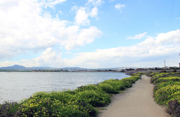 Path along the sea bay