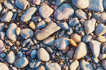 Turned colored pebble stones on the river bank in the morning. Natural abstract texture.