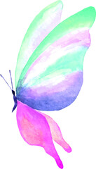 Watercolor butterfly. Butterfly insect illustration. Handmade image. Kraft. For creating wedding invitations, cards, postcards, interior design. For print on clothes.