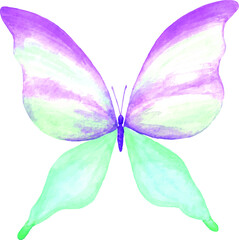 Watercolor butterfly. Butterfly insect illustration. Handmade image. Kraft. For creating wedding invitations, cards, postcards, interior design. For print on clothes.