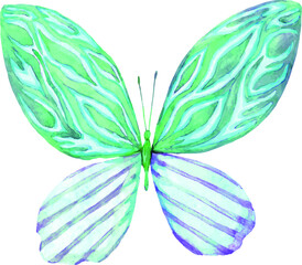 Watercolor butterfly. Butterfly insect illustration. Handmade image. Kraft. For creating wedding invitations, cards, postcards, interior design. For print on clothes.