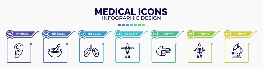 infographic for medical icons concept. vector infographic template with icons and 7 option or steps. included human ear shape, phary, lungs organ, female body, hurted finger with bandage, x ray of a