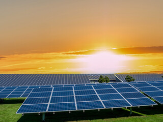 Solarpark Ökologie Sonnenaufgang Solarpanel