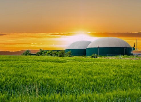 Biogasanlage bei Sonnenuntergang mit Maisfeld
