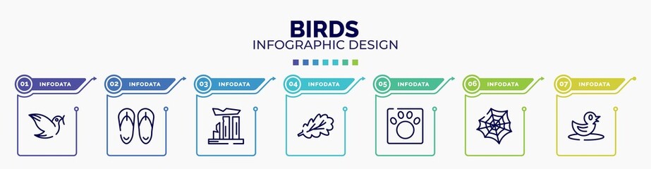 infographic for birds concept. vector infographic template with icons and 7 option or steps. included dove, sandals, relics, oak leaf, veterinarian, spider web, duck editable vector.