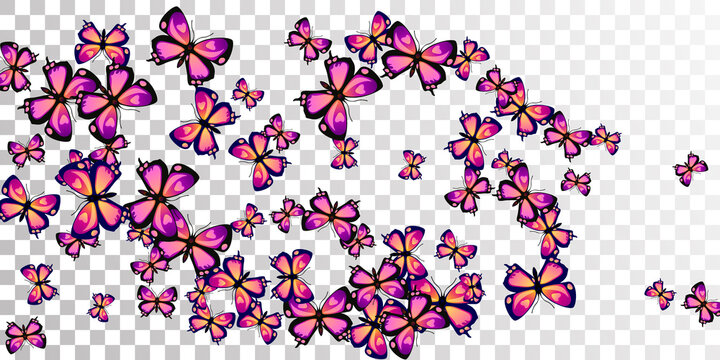Exotic purple butterflies abstract vector wallpaper. Spring vivid insects. Simple butterflies abstract girly background. Tender wings moths patten. Tropical creatures.