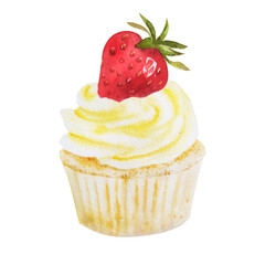 Watercolor illustration of sweet cupcakes with fruits. Cliparts isolated for different cafe menu or food designs