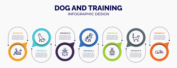 infographic for dog and training concept. vector infographic template with icons and 7 option or steps. included dog and man seating, akitas, pollen beetle, grooming pet, red soldier beetle, bengal