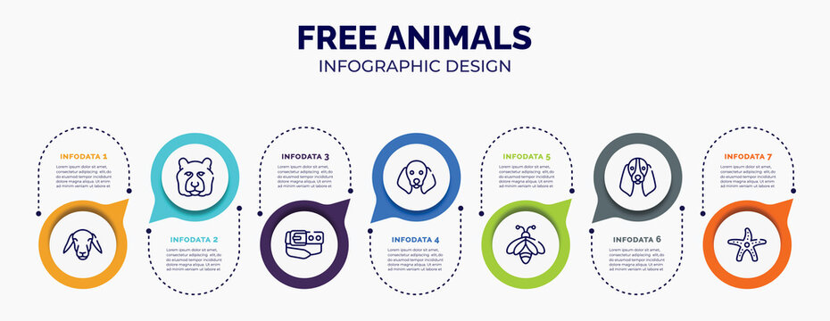 infographic for free animals concept. vector infographic template with icons and 7 option or steps. included female sheep head, tiger head, belt and buckle, dog with floppy ears, big bee, bas hound