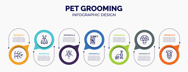infographic for pet grooming concept. vector infographic template with icons and 7 option or steps. included tarantula, firefly, spider, anti flea, walking the dog, mushroom, facial treatment for