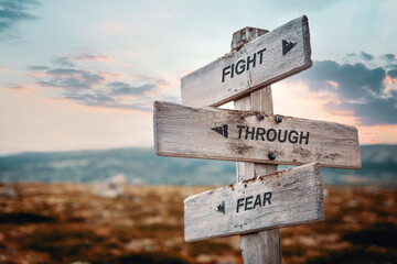 fight through fear text quote caption on wooden signpost outdoors in nature. Stock sign words theme.