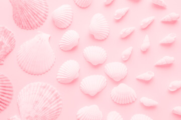 たくさんの貝殻