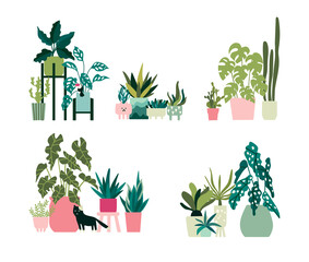 Urban jungle, hand drawn plants collection. Colorful vector illustrations and prints. Decorative design elements - 504129329