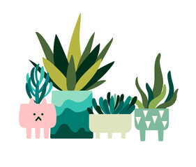 Natural collection of home plants. Vector collection for plant lovers - 504129342