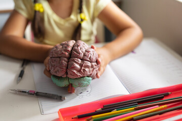 Midsection of caucasian elementary schoolgirl holding brain model while sitting at desk
