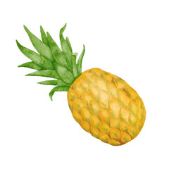 Watercolor pineapple digital illustration. Hand painted yellow exotic fruit isolated on white background. Summer tropical fruit, healthy food ingredient painting