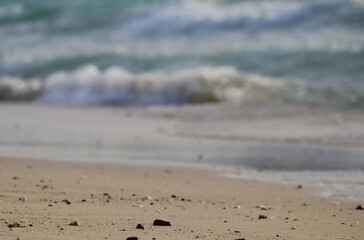 Fototapeta na wymiar Close-up of a sandy beach in Dubai, partially out of focus