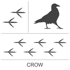 Silhouette and footprints of a crow. Vector illustration.