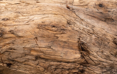 Background and texture of old wood