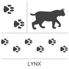 Lynx silhouette and footprints. Vector illustration on a white background. - obrazy, fototapety, plakaty