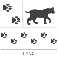 Lynx silhouette and footprints. Vector illustration on a white background. © OnD